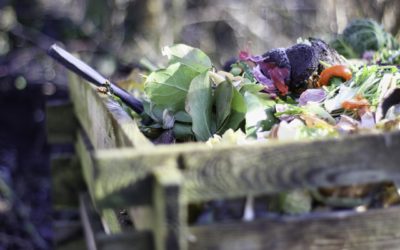L’art du compostage en entreprise
