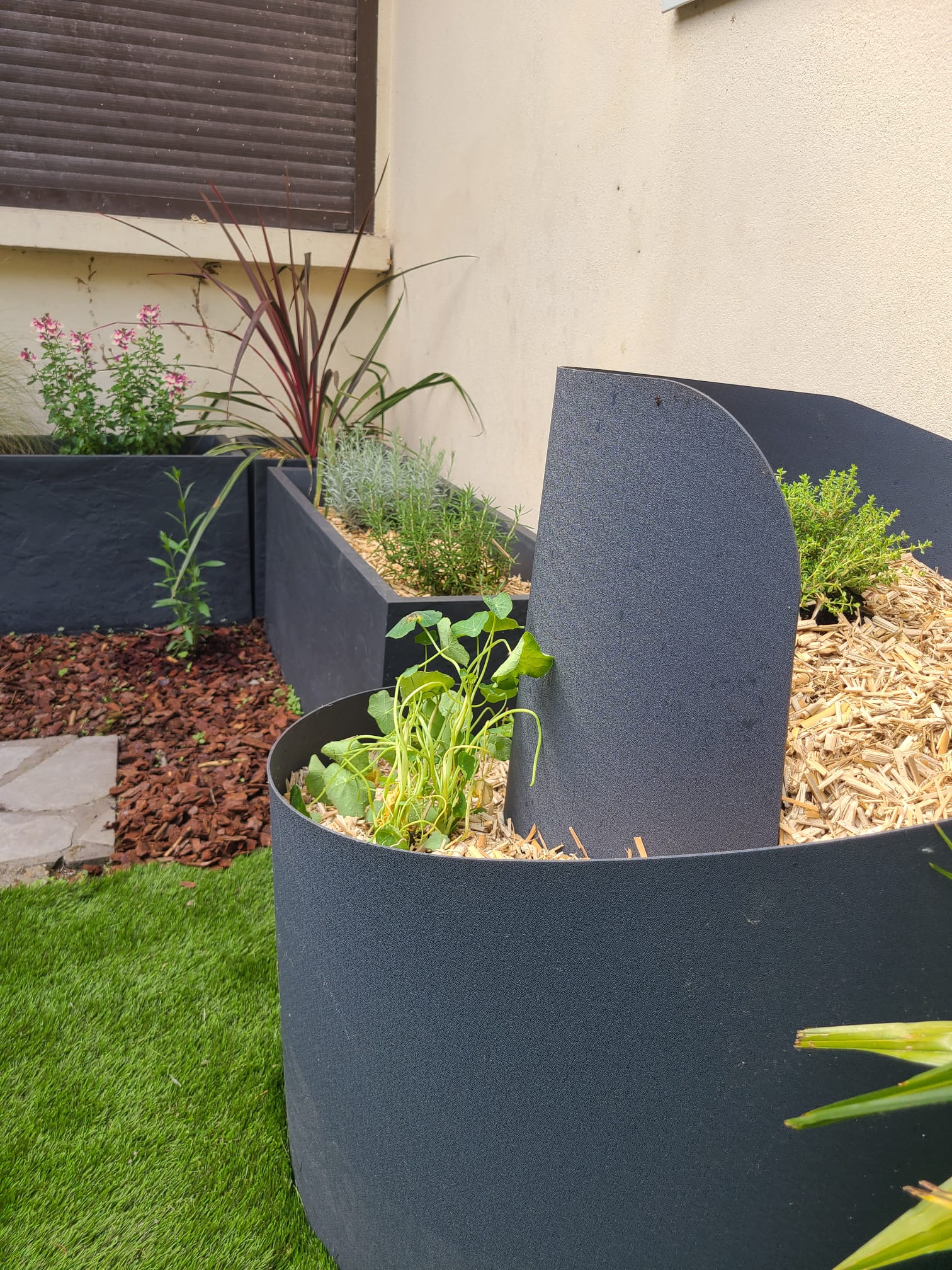 jardins bordelais godets zoysia